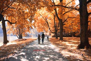 科隆队赢得宝贵分，终结连败尴尬