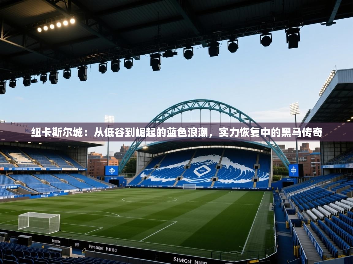纽卡斯尔城：从低谷到崛起的蓝色浪潮，实力恢复中的黑马传奇  第2张